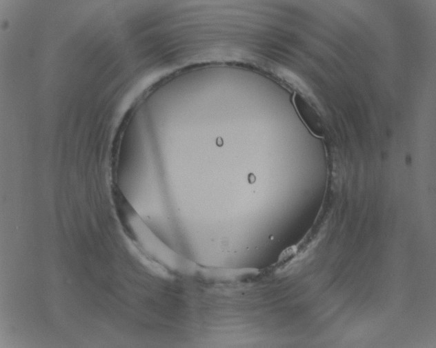 X0000077380942200611101726