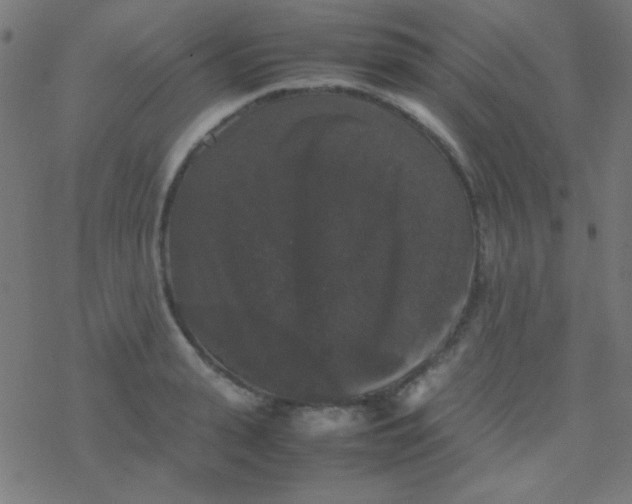 X0000077380943200611101726