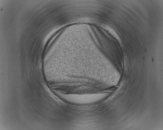 X0000077380944200611101726