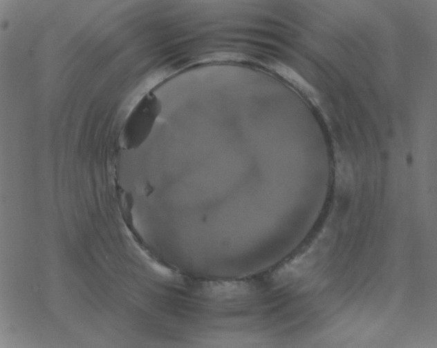 X0000077380945200611101726