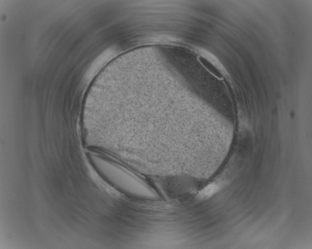 X0000077380946200611101726