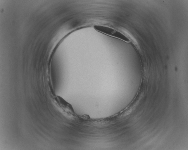 X0000077380948200611101726