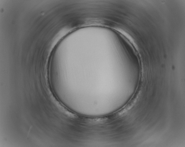 X0000077380949200611101726