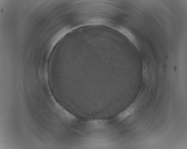 X0000077380950200611101726