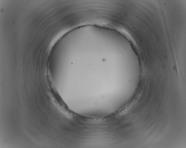 X0000077380952200611101726