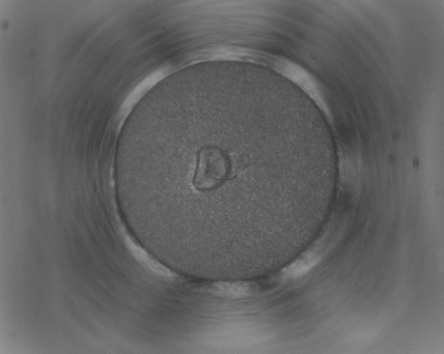 X0000077380954200611101726