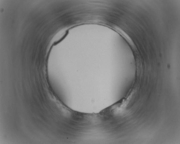 X0000077380956200611101726