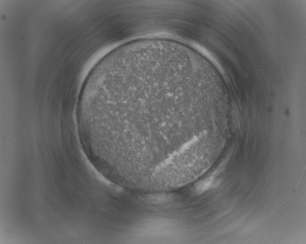 X0000077380959200611101726