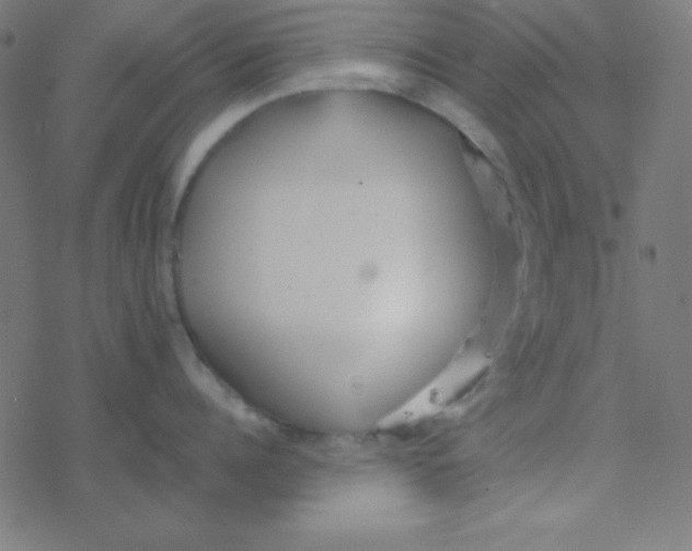 X0000077380960200611101726