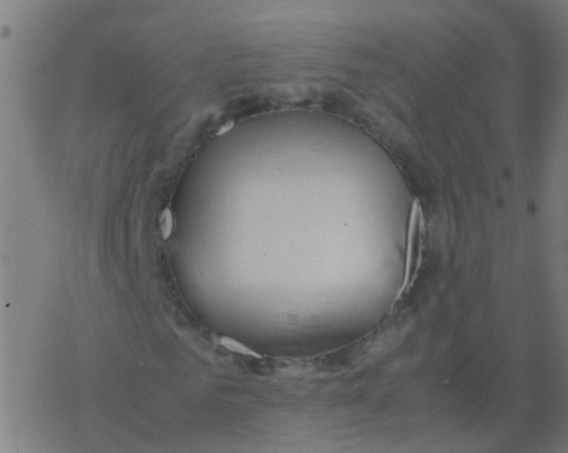 X0000077380961200611101725