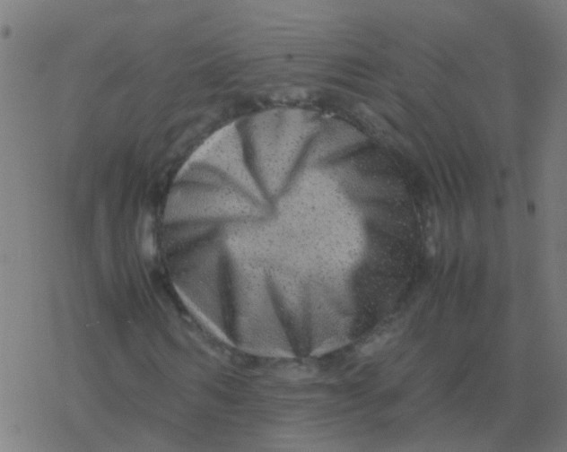 X0000077380962200611101725