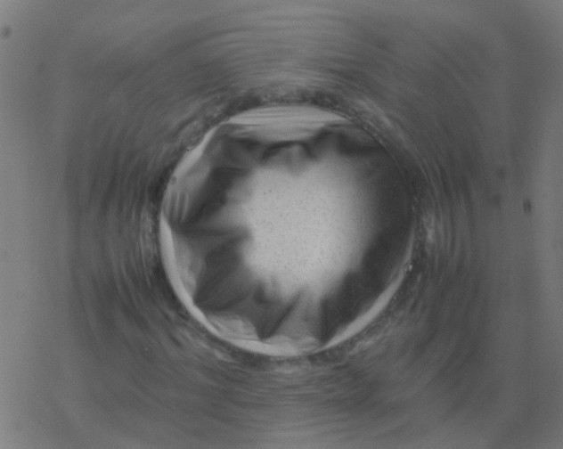 X0000077380964200611101725