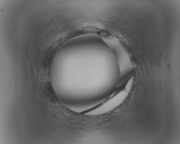 X0000077380965200611101725