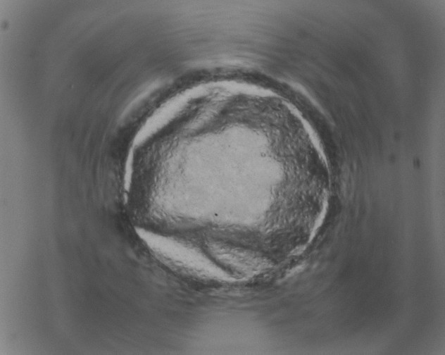 X0000077380967200611101725