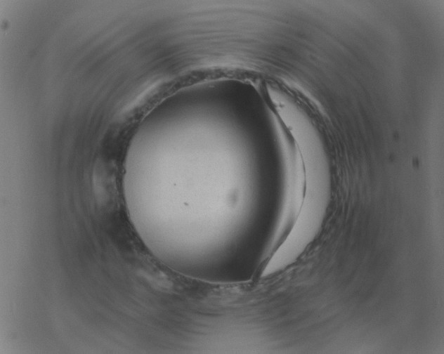 X0000077380968200611101725