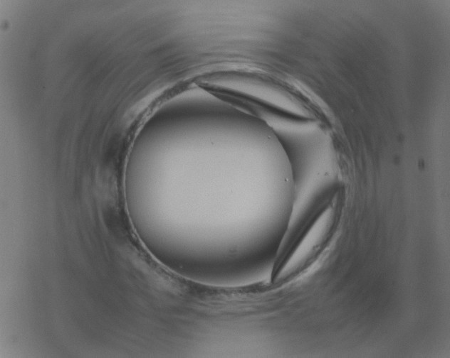 X0000077380969200611101725