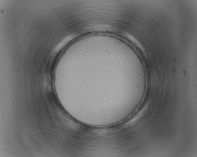 X0000077380970200611101725