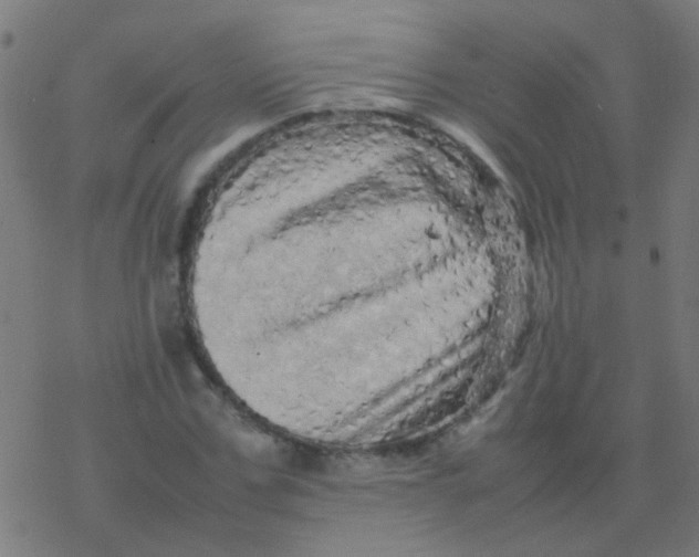 X0000077380971200611101725