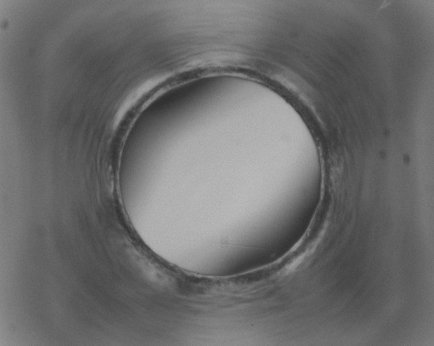 X0000077380973200611101725