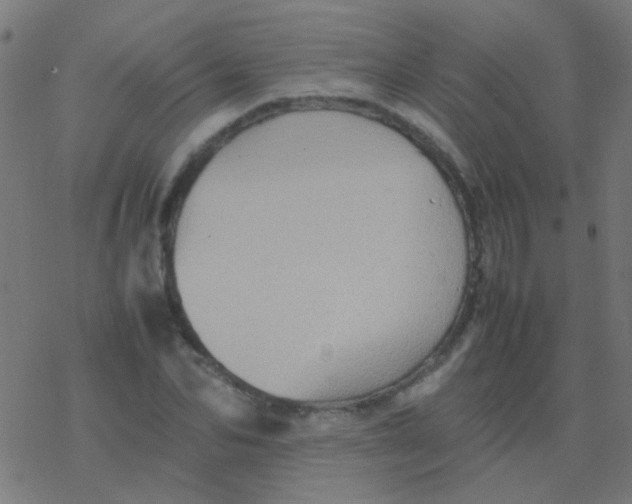 X0000077380974200611101725