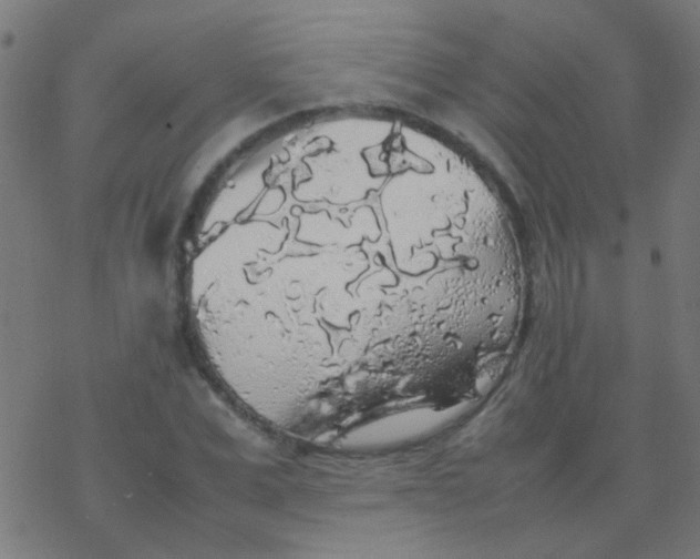 X0000077380975200611101725