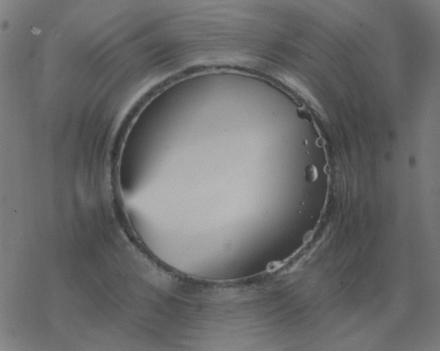 X0000077380976200611101725