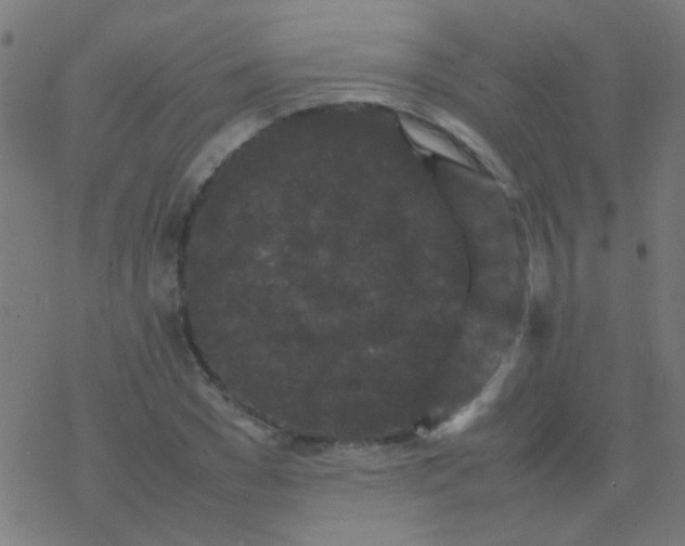 X0000077380977200611101725