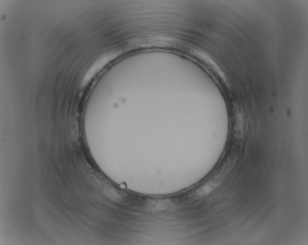 X0000077380978200611101725