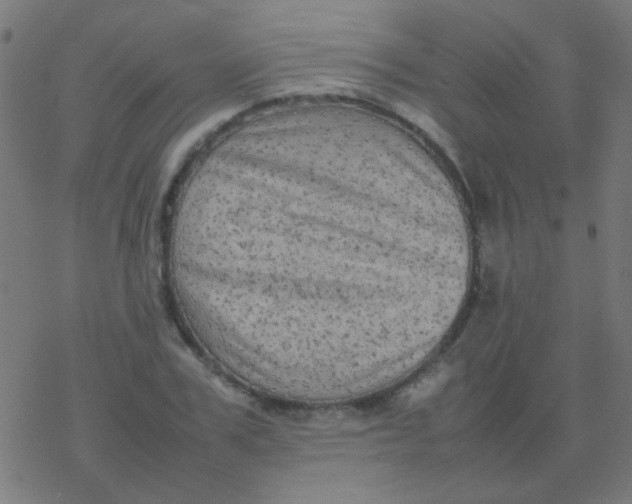 X0000077380979200611101725