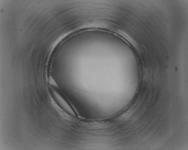 X0000077380980200611101725