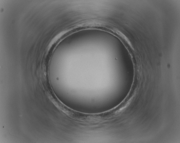 X0000077380981200611101725