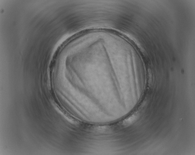 X0000077380982200611101725