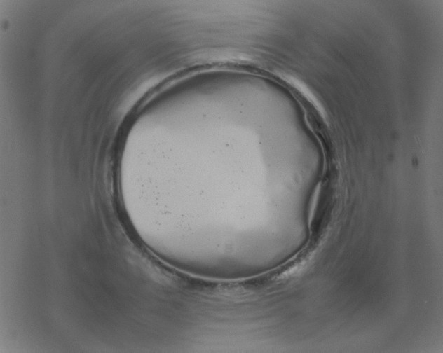 X0000077380983200611101725