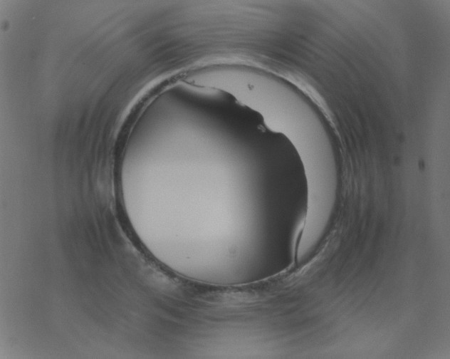 X0000077380984200611101725