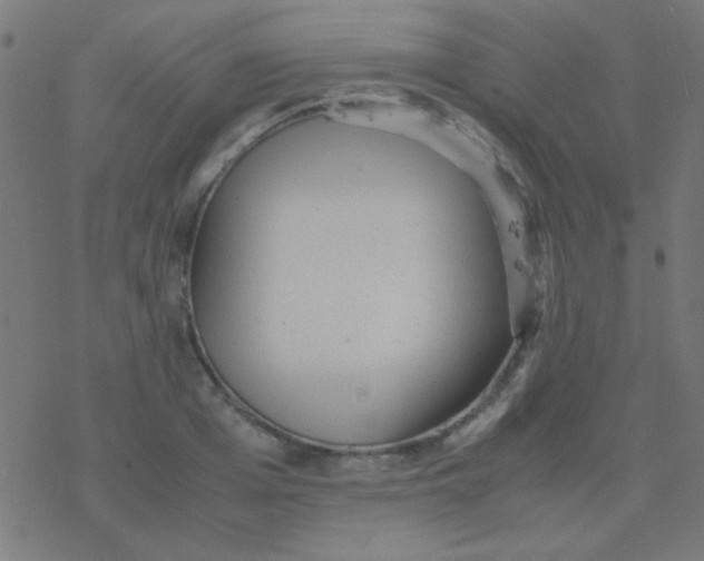 X0000077380985200611101725