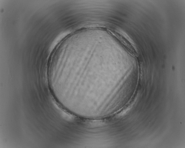 X0000077380986200611101725