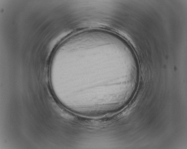 X0000077380987200611101725