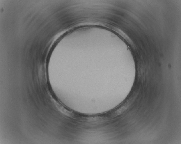 X0000077380988200611101725