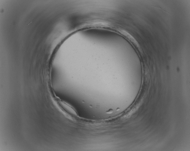 X0000077380989200611101725