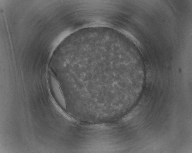 X0000077380990200611101725