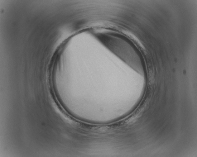 X0000077380991200611101725