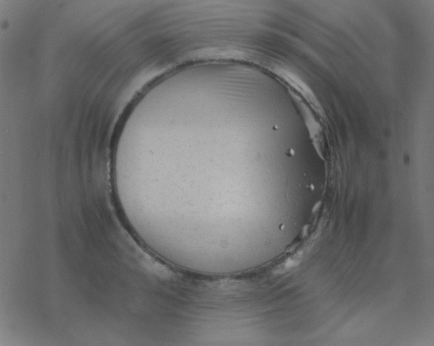 X0000077380992200611101725