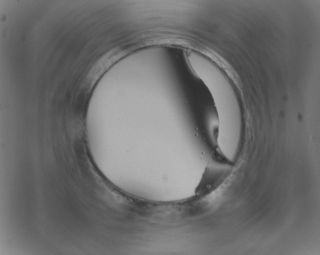 X0000077380993200611101725