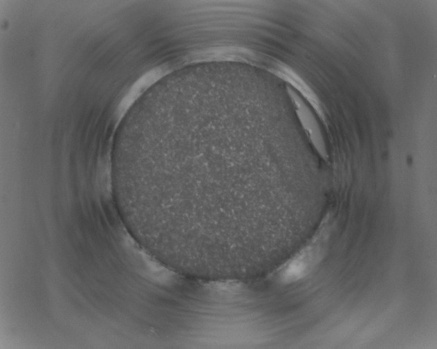 X0000077380994200611101725