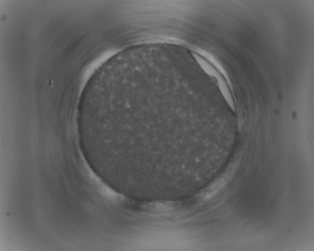 X0000077380995200611101725