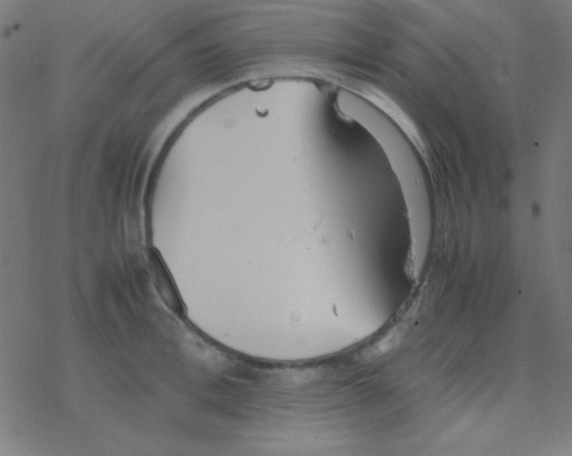 X0000077380996200611101725