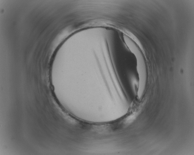 X0000077380997200611101725