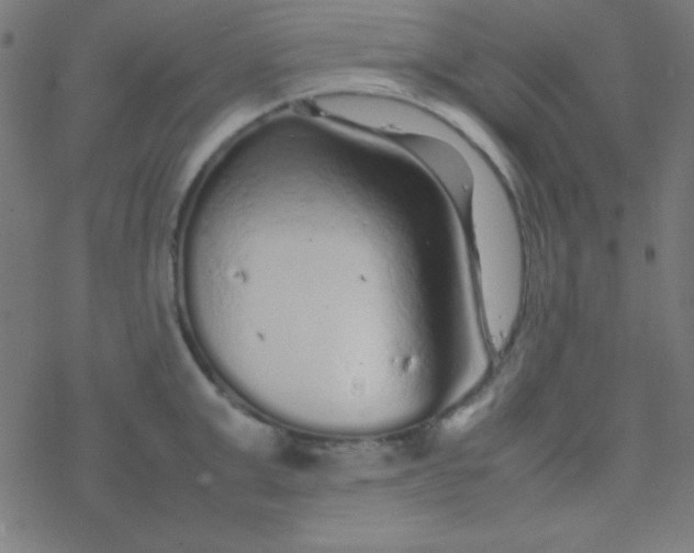 X0000077380999200611101725