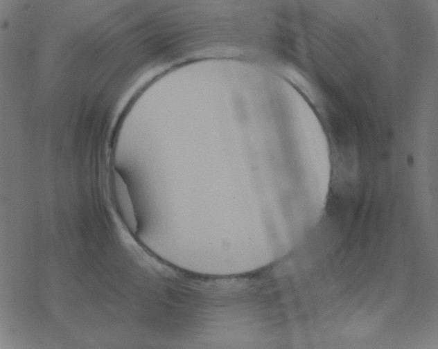 X0000077381000200611101725