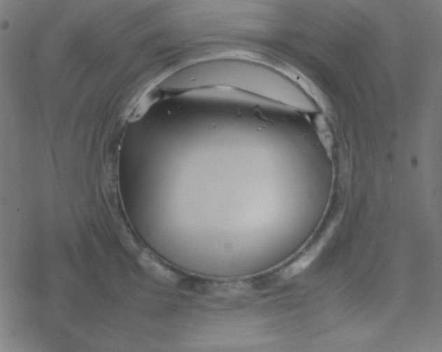 X0000077381001200611101725